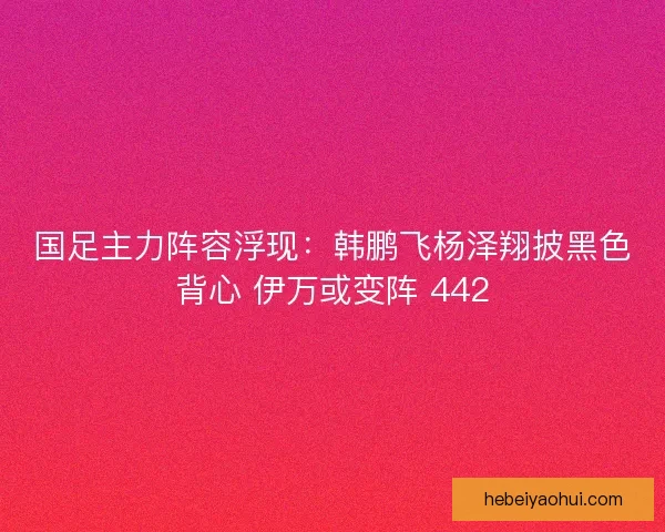 国足主力阵容浮现：韩鹏飞杨泽翔披黑色背心 伊万或变阵 442