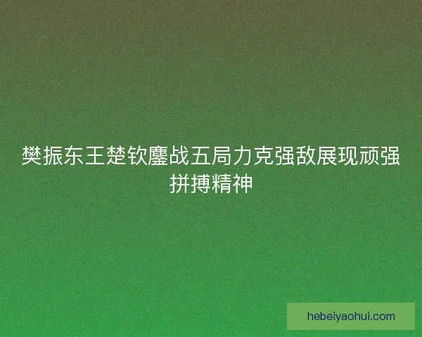 樊振东王楚钦鏖战五局力克强敌展现顽强拼搏精神